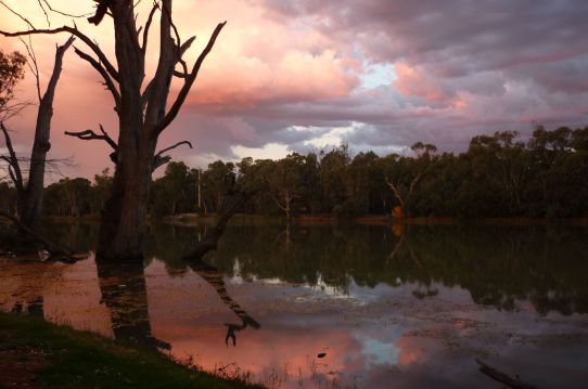 Murray River at Euston, NSW.